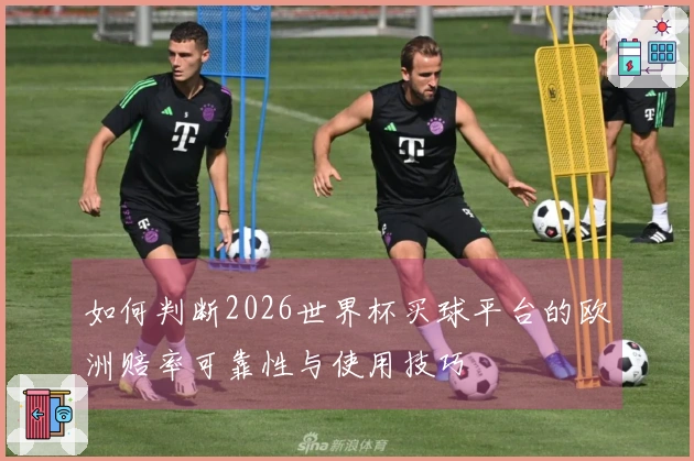 如何判断2026世界杯买球平台的欧洲赔率可靠性与使用技巧