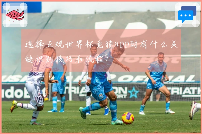 选择正规世界杯竞猜app时有什么关键识别技巧和流程？