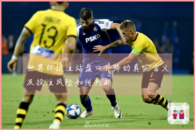 世界杯投注站盘口升降的真实含义及投注风险如何判断