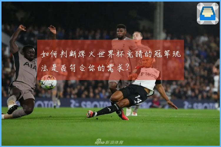 如何判断烽火世界杯竞猜的冠军玩法是否符合你的需求？