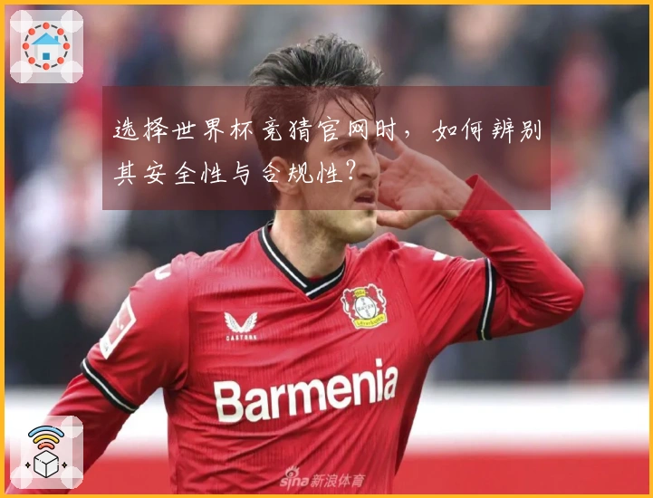 选择世界杯竞猜官网时，如何辨别其安全性与合规性？