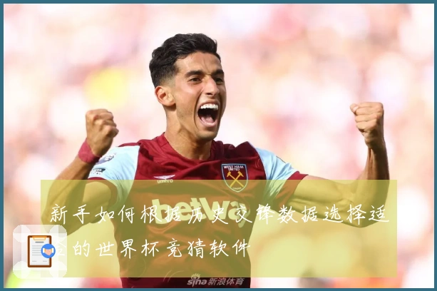 新手如何根据历史交锋数据选择适合的世界杯竞猜软件