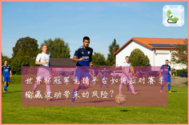 世界杯冠军竞猜平台如何应对赛季输赢波动带来的风险？