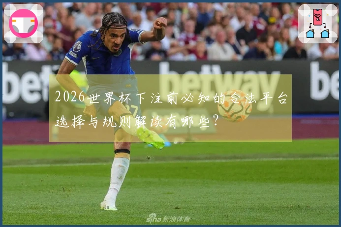2026世界杯下注前必知的合法平台选择与规则解读有哪些？