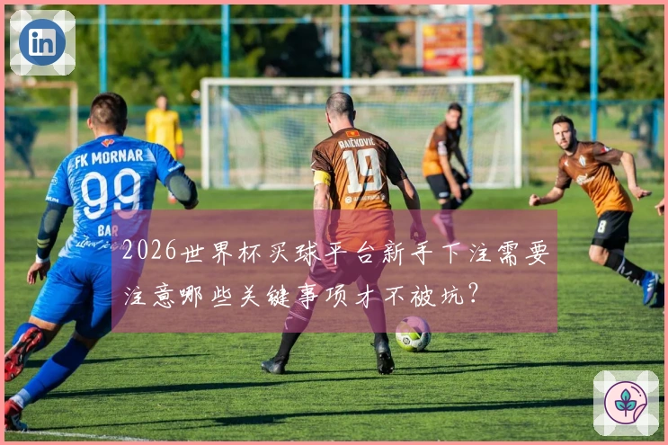2026世界杯买球平台新手下注需要注意哪些关键事项才不被坑？