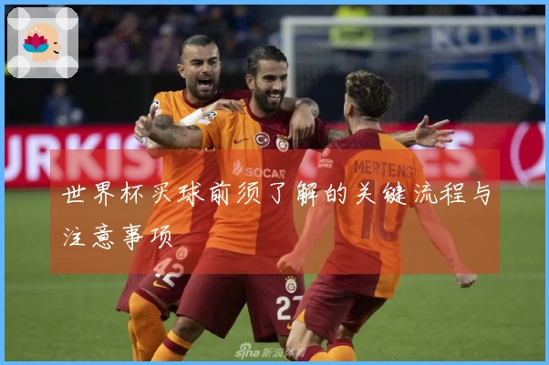 世界杯买球前须了解的关键流程与注意事项