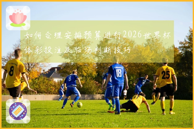 如何合理安排预算进行2026世界杯体彩投注及临场判断技巧