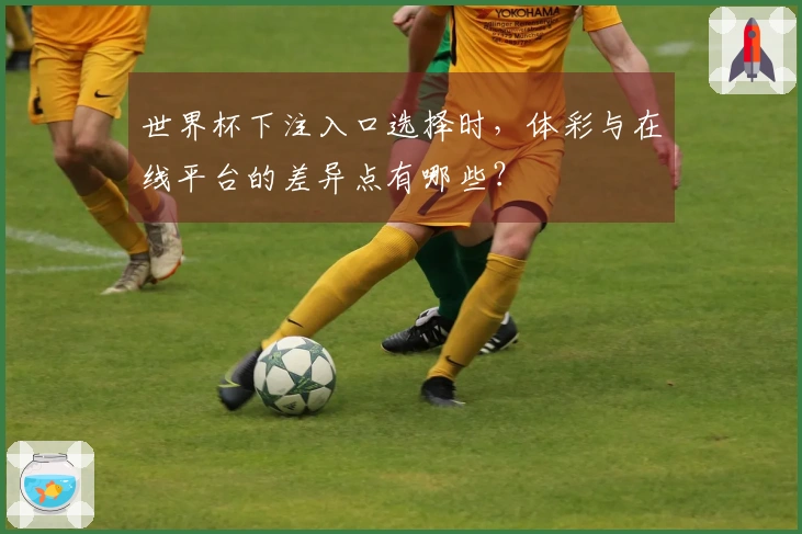 世界杯下注入口选择时，体彩与在线平台的差异点有哪些？