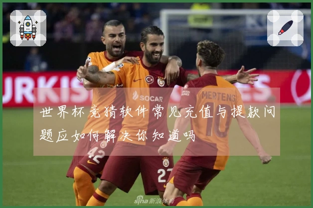 世界杯竞猜软件常见充值与提款问题应如何解决你知道吗
