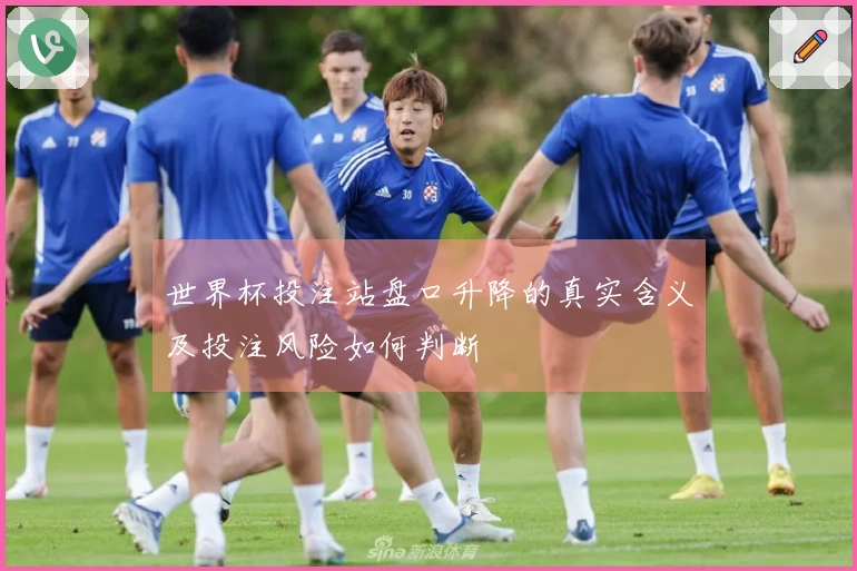 世界杯投注站盘口升降的真实含义及投注风险如何判断