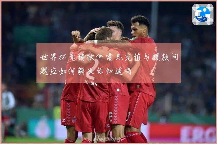 世界杯竞猜软件常见充值与提款问题应如何解决你知道吗