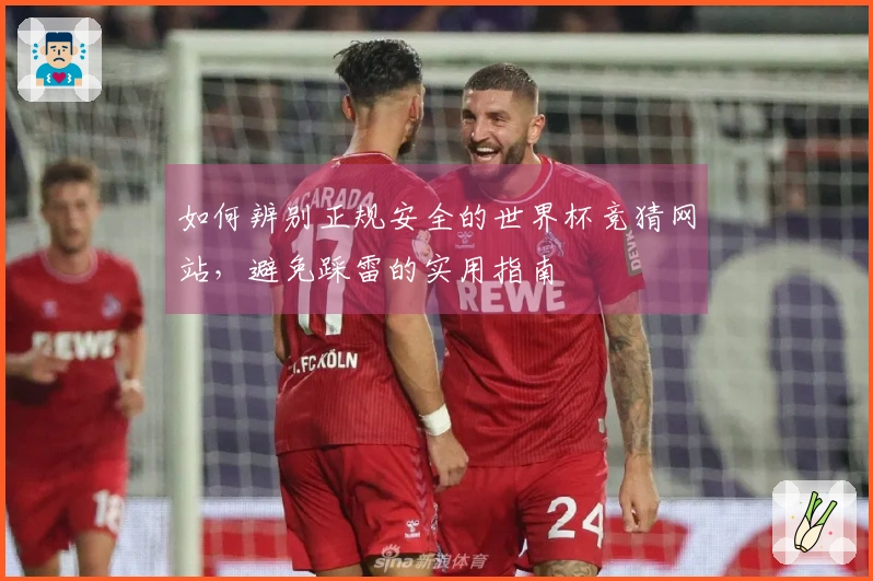 如何辨别正规安全的世界杯竞猜网站，避免踩雷的实用指南