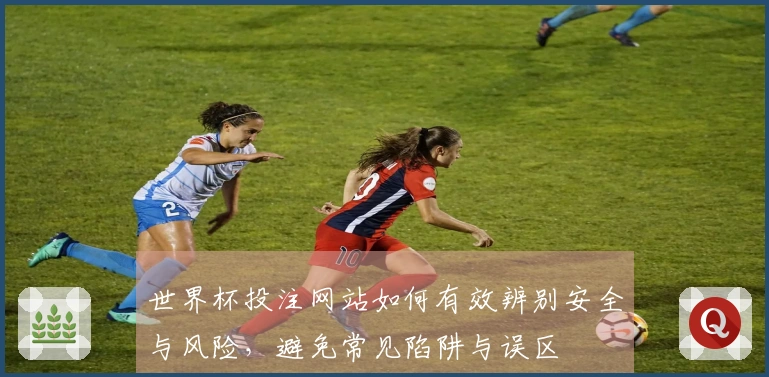 世界杯投注网站如何有效辨别安全与风险，避免常见陷阱与误区