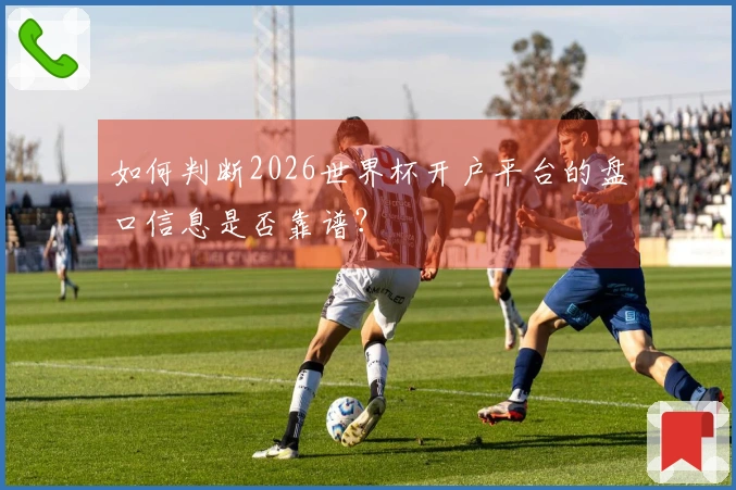 如何判断2026世界杯开户平台的盘口信息是否靠谱？