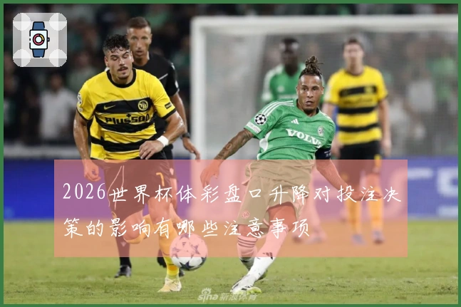 2026世界杯体彩盘口升降对投注决策的影响有哪些注意事项