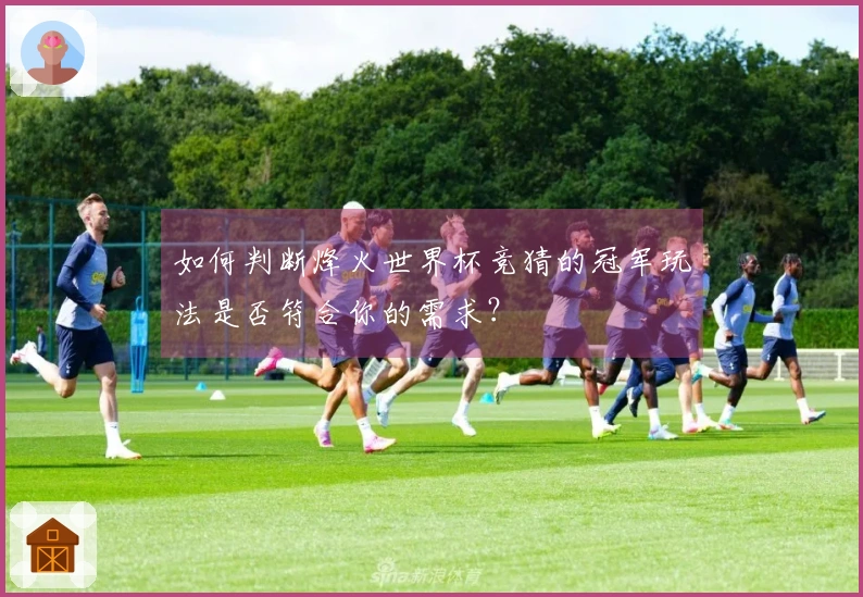 如何判断烽火世界杯竞猜的冠军玩法是否符合你的需求？