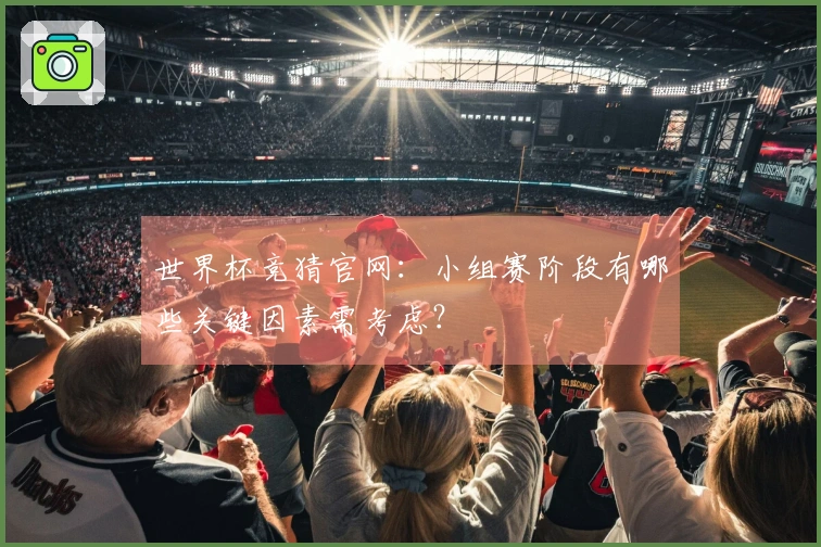 世界杯竞猜官网：小组赛阶段有哪些关键因素需考虑？