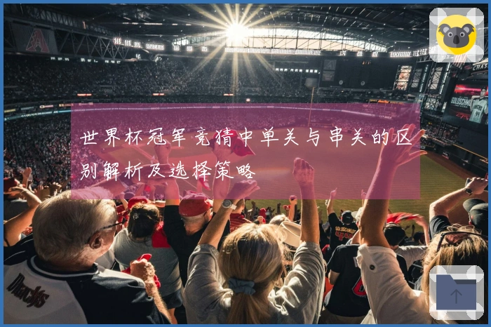 世界杯冠军竞猜中单关与串关的区别解析及选择策略