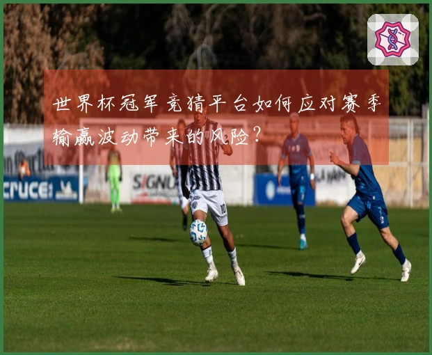 世界杯冠军竞猜平台如何应对赛季输赢波动带来的风险？