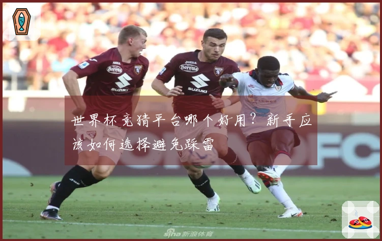 世界杯竞猜平台哪个好用？新手应该如何选择避免踩雷