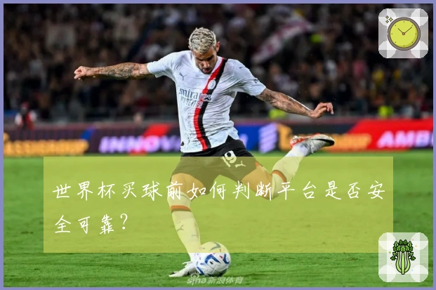 世界杯买球前如何判断平台是否安全可靠？